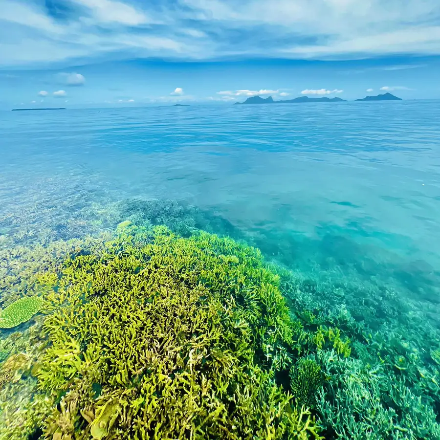 Vibrant coral reefs and tropical fish near the villas Sky Water Villas